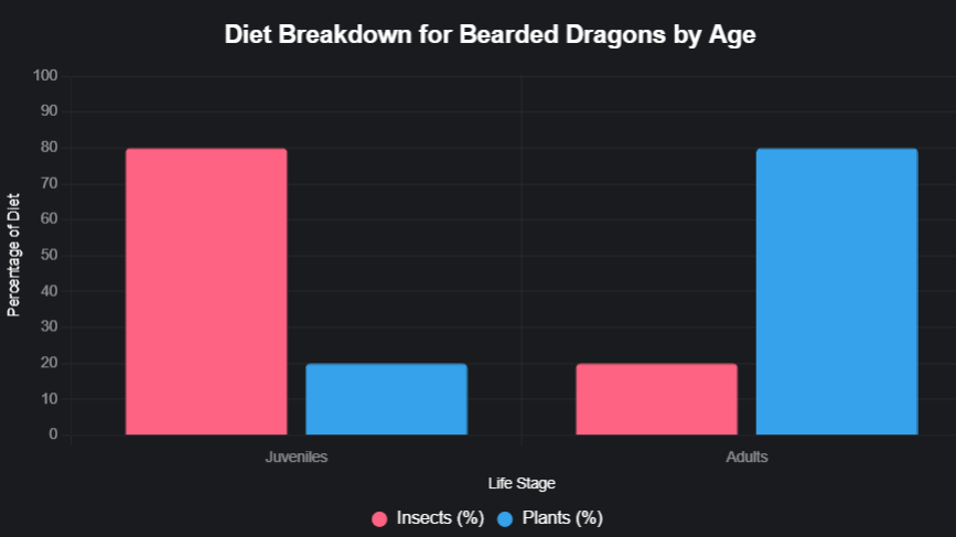 Diet Breakdown for Bearded Dragons by Age